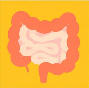 Bowel